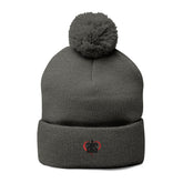 AIS Cozy Pom-Pom Knit Beanie